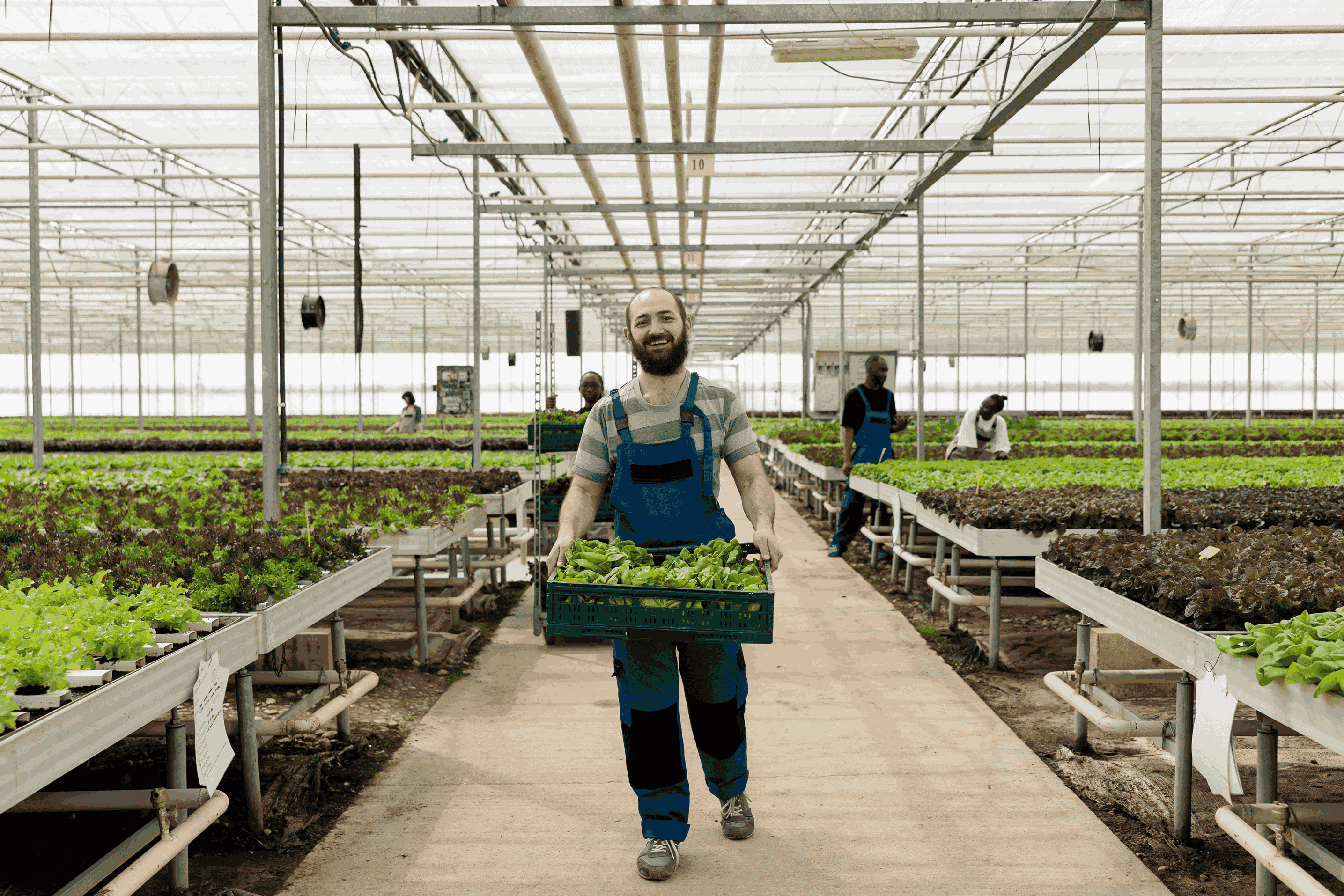 Сезонные рабочие